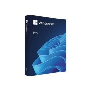 Windows 11 Pro OS Box